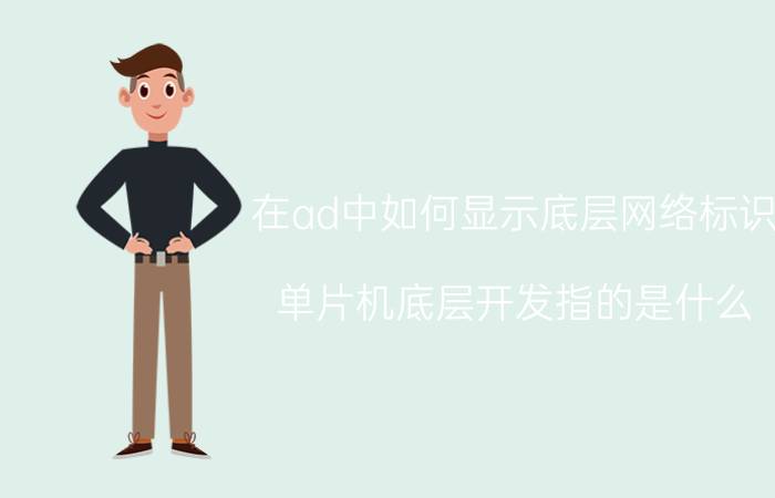 在ad中如何显示底层网络标识 单片机底层开发指的是什么？